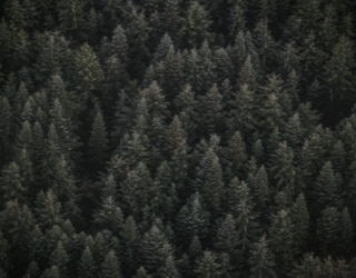 Architektur & Sachverständigenbüro