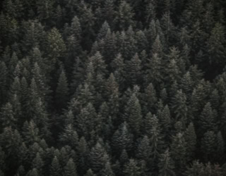 Architektur & Sachverständigenbüro